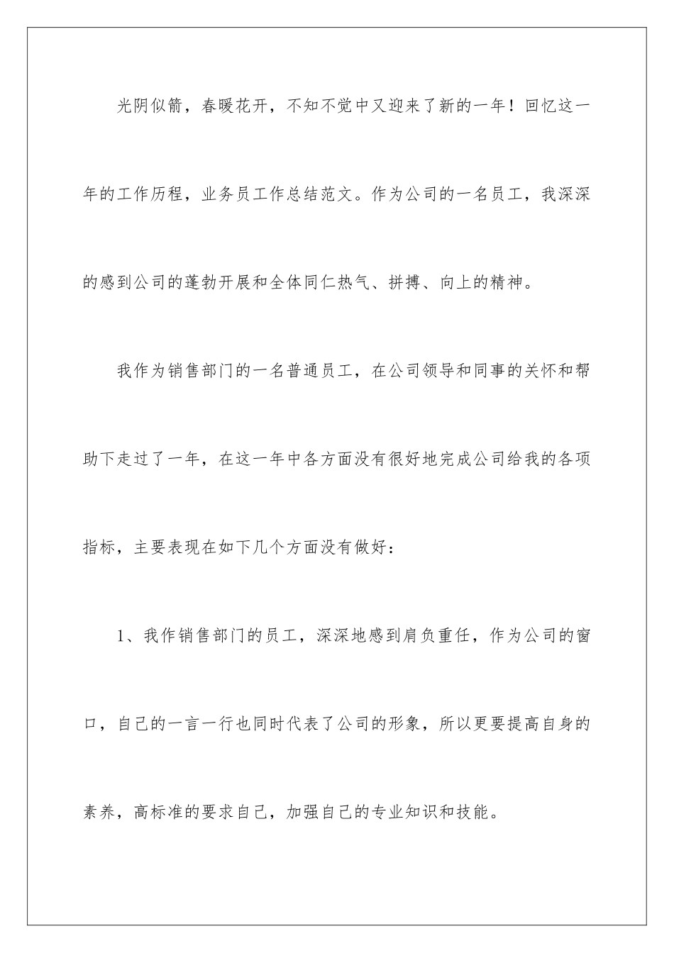 2024年业务员销售工作总结_第2页