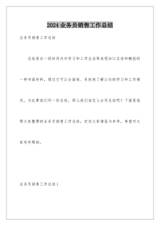 2024年业务员销售工作总结
