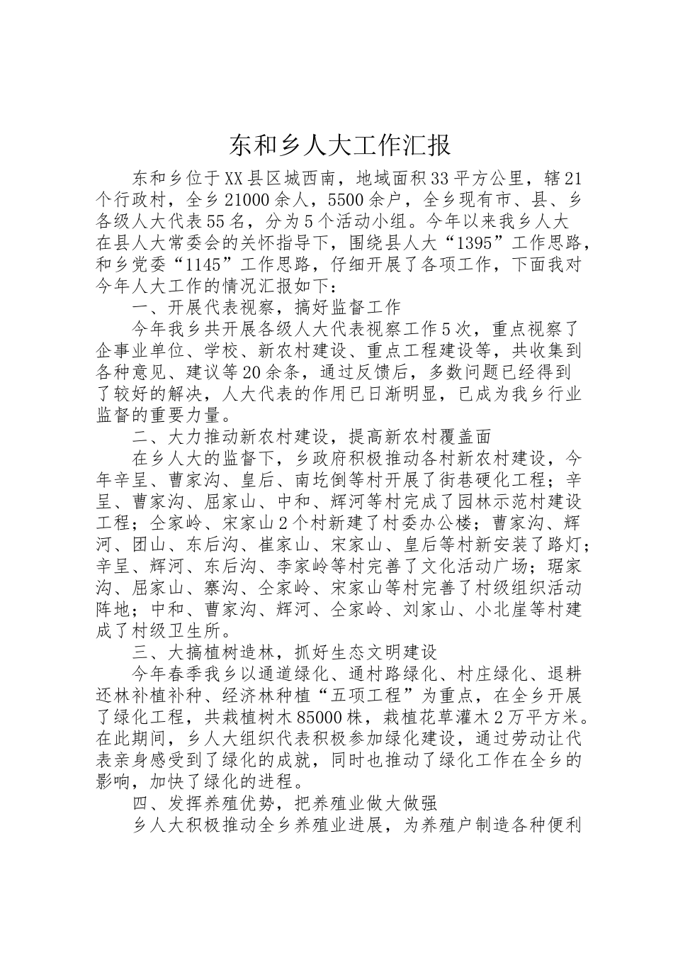 2024年东和乡人大工作汇报-_第1页