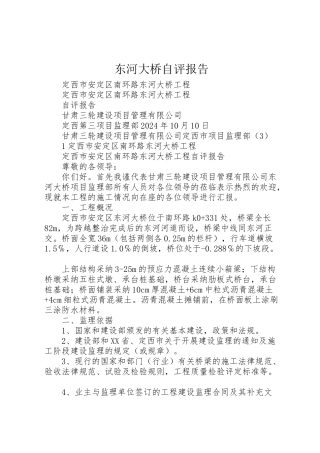 2024年东河大桥自评报告-