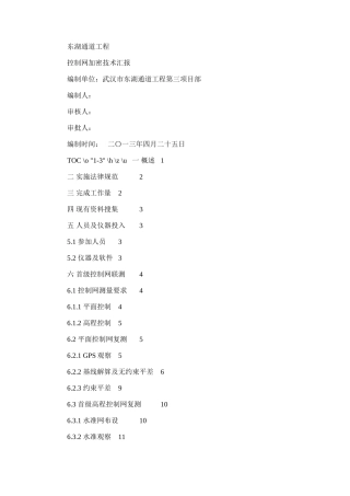 2024年东湖通道新项目工程控制点加密关键技术报告新版