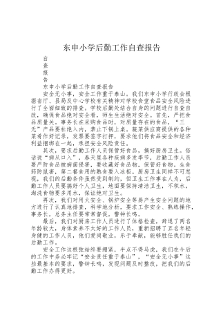 2024年东申小学后勤工作自查报告-