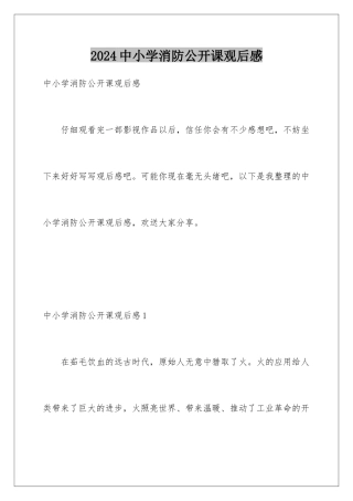 2024年中小学消防公开课观后感