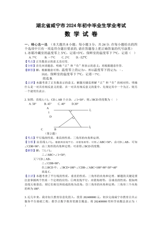 2024年中考数学试卷-z咸宁