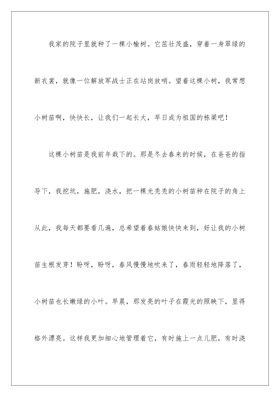 2024年中考满分作文汇总5篇_第2页