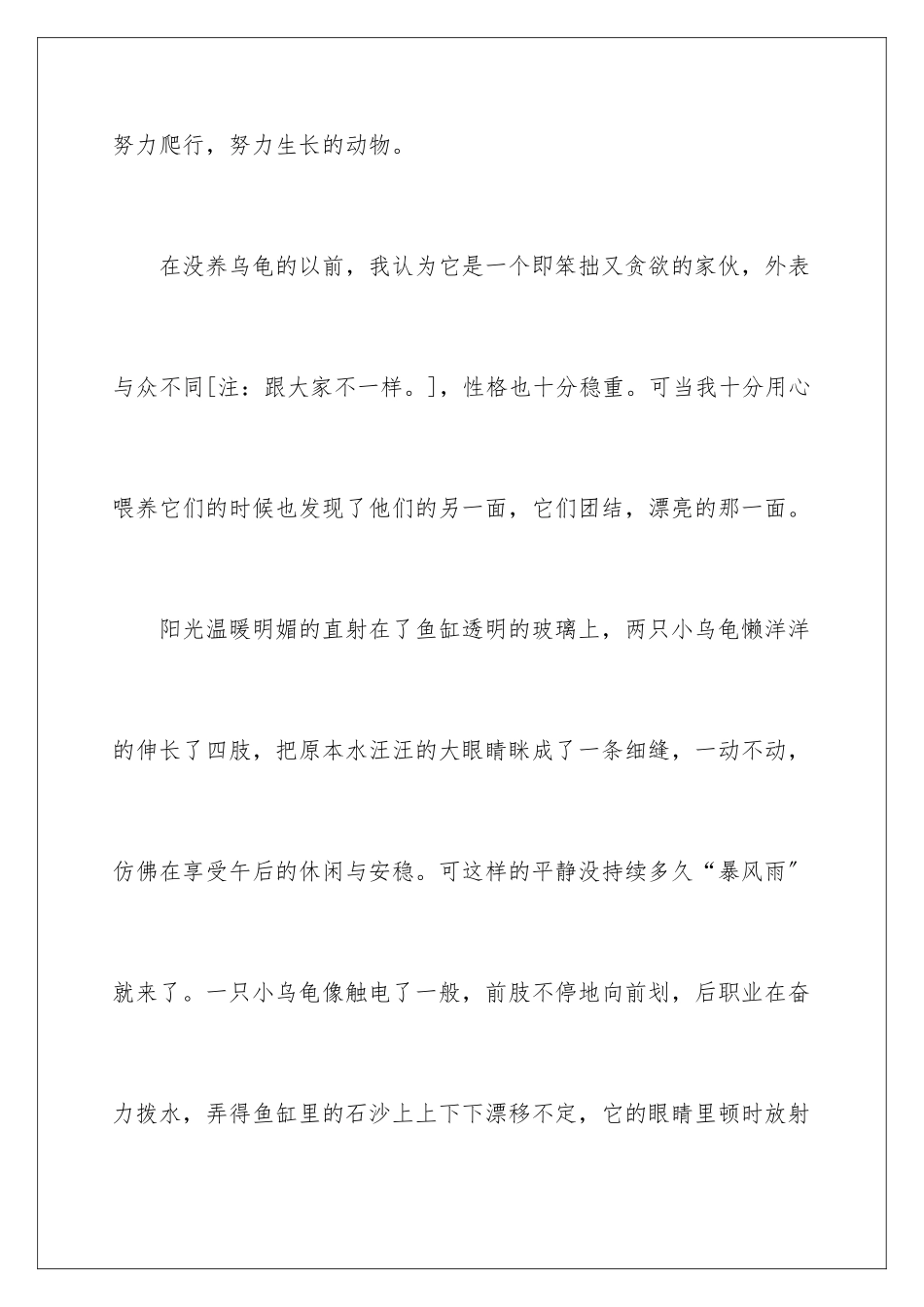 2024年乌龟的三年级作文6篇_第2页