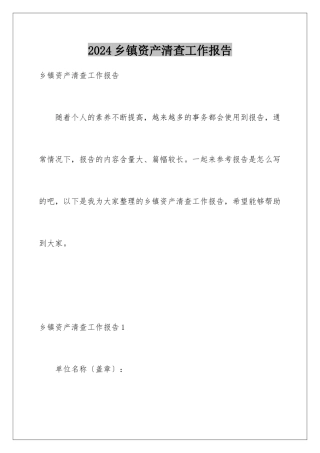 2024年乡镇资产清查工作报告