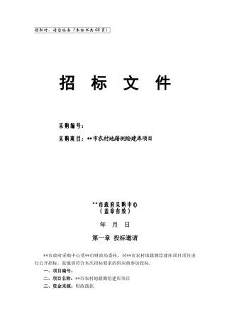 【2022精编】市农村地籍测绘建库项目招标文件