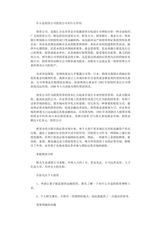 2024年什么是投资公司