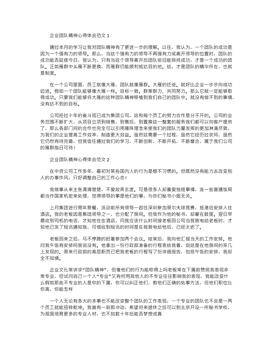 2024年企业团队精神心得体会范文word版_第1页