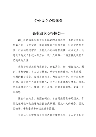 2024年企业设立心得体会word版