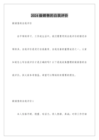 2024年做销售的自我评价