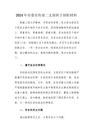 2024年党市委宣传部二支部班子剖析材料