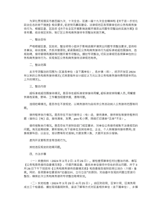 2024年公务和商务接待情况专项整治方案