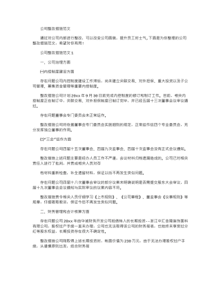2024年公司整改措施例文