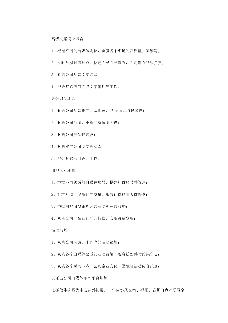 2024年公司新媒体矩阵规划及推广方案_第3页
