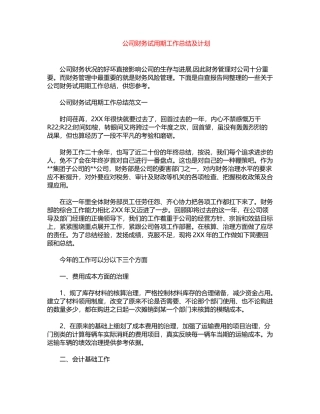 2024年公司财务试用期工作总结及计划word版