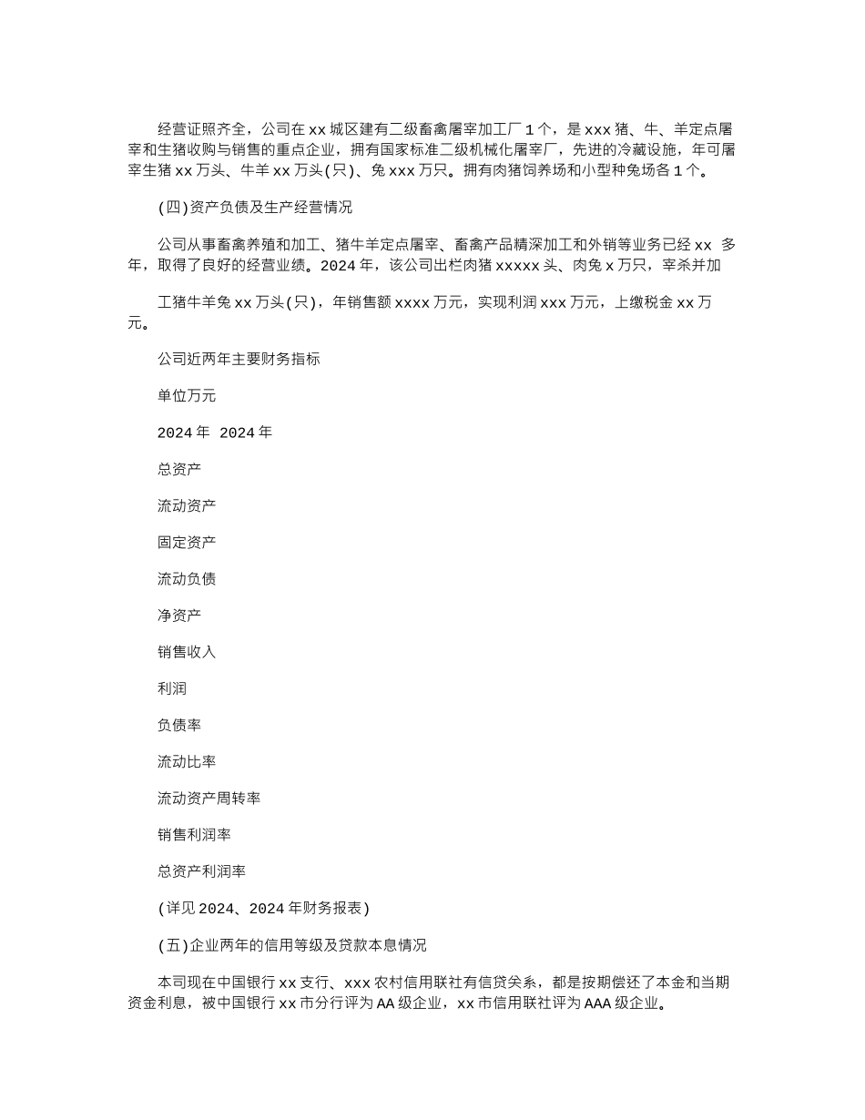 2024年公司贷款申请报告_第2页