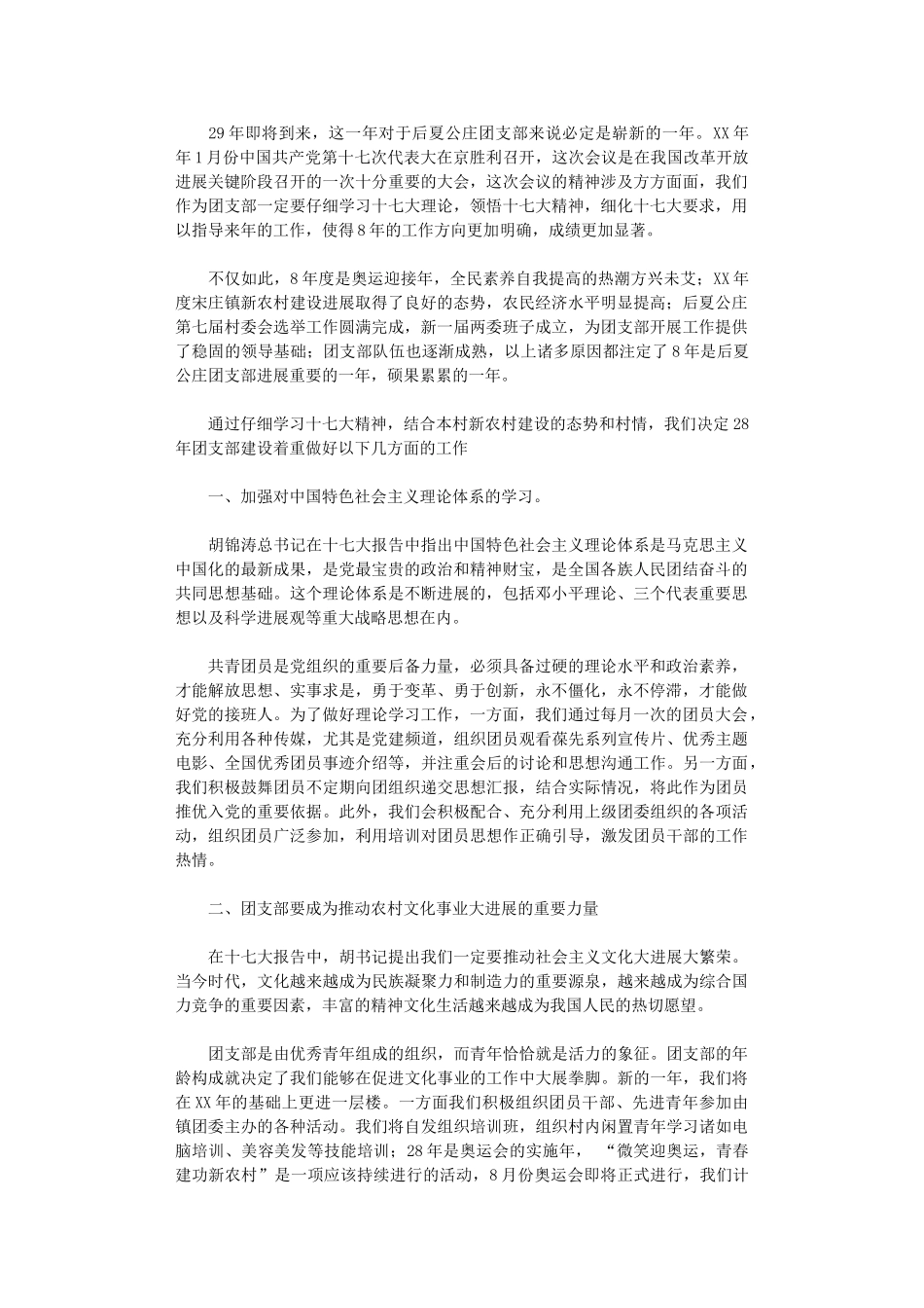 2024年农村团支部工作计划_第1页