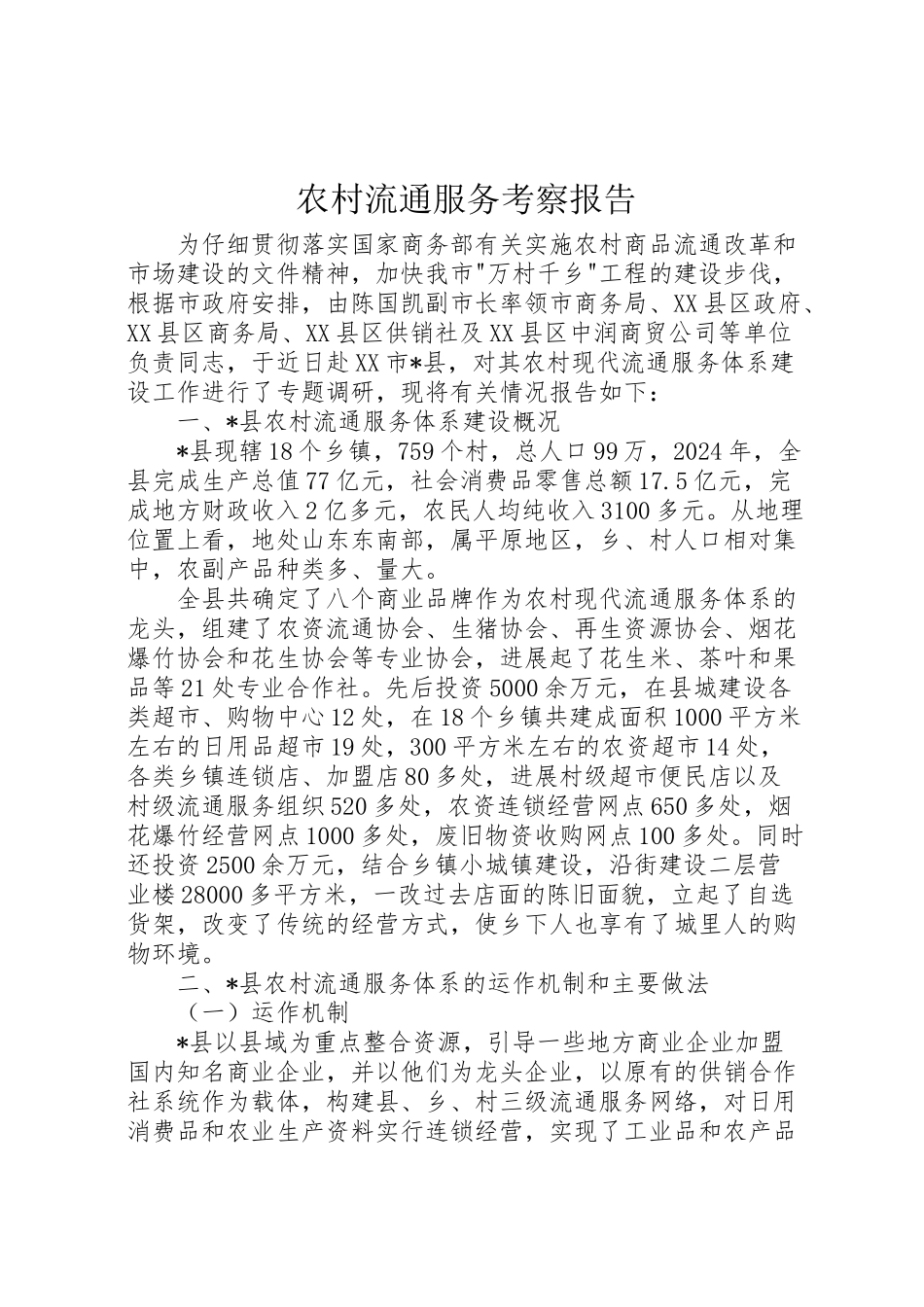 2024年农村流通服务考察报告-_第1页