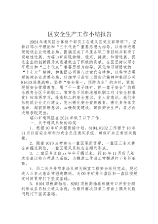 2024年区安全生产工作小结报告-
