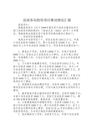 2024年县商务局投资项目推进情况汇报-