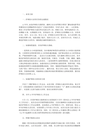 2024年县林业局护林防火工作总结