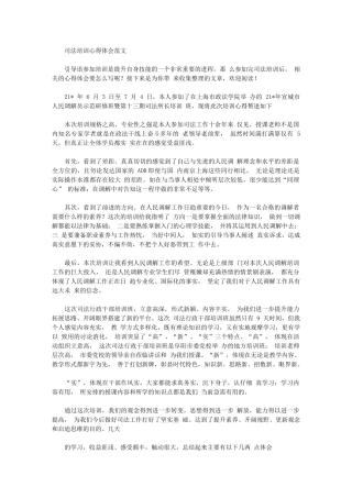 2024年司法培训心得体会例文