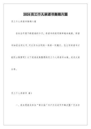 2024年员工个人承诺书集锦六篇
