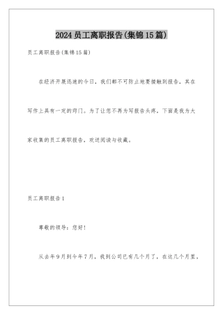 2024年员工离职报告