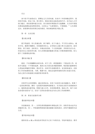 2024年大学生职业生涯规划书：梦想在望