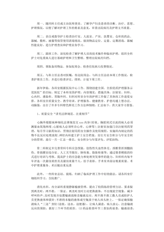 2024年妇产科护理工作计划