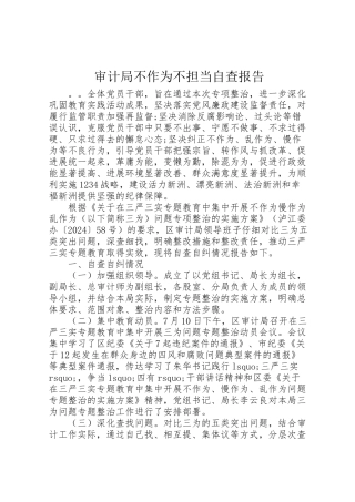 2024年审计局不作为不担当自查报告-