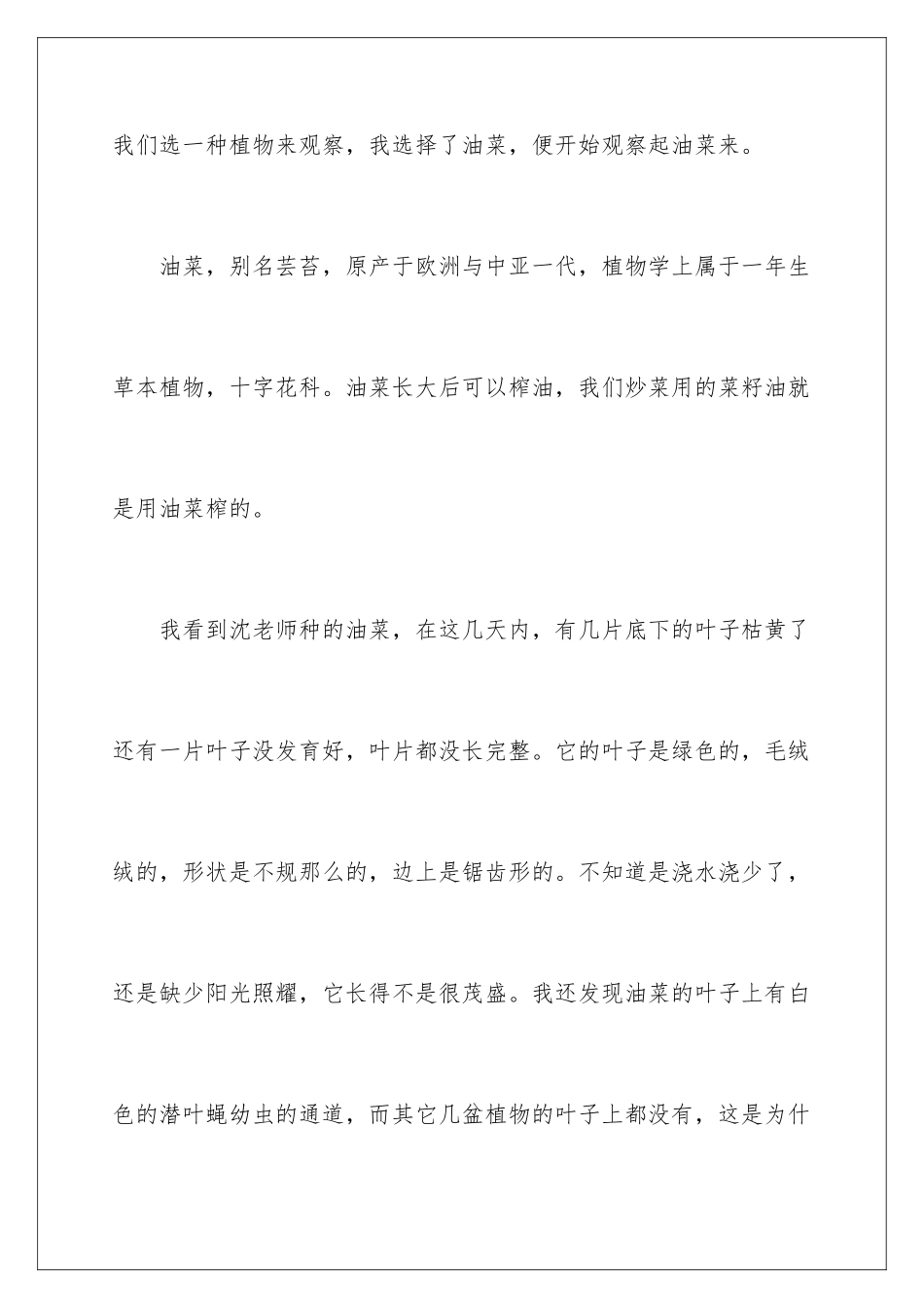 2024年小学四年级观察作文四篇_第2页