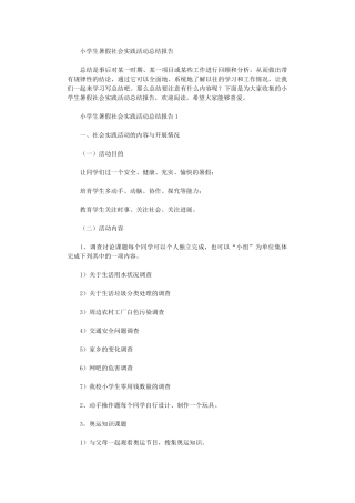 2024年小学生暑假社会实践活动总结报告