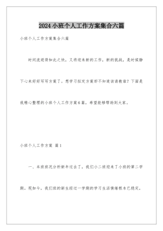 2024年小班个人工作计划集合六篇