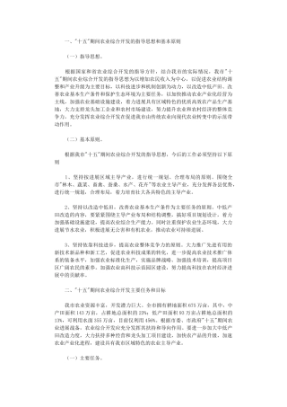 2024年市农业综合开发十一五计划