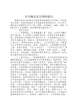 2024年市巾帼农家乐调研报告-