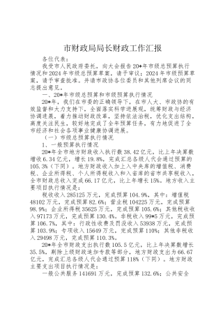 2024年市财政局局长财政工作汇报-