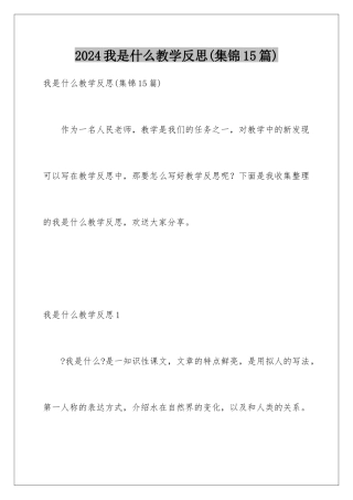 2024年我是什么教学反思