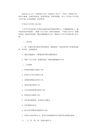 2024年手术室下半年度工作计划精选