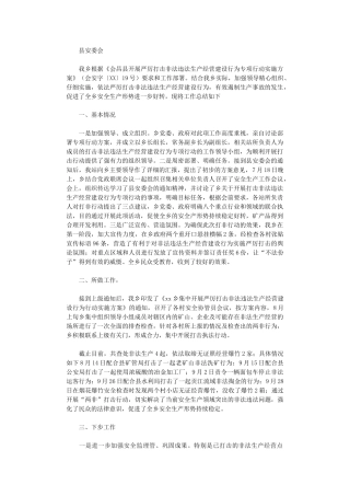 2024年打击非法违法生产经营建设行为专项行动工作总结