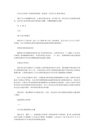 2024年执行小企业会计准则财务报表审计综合报告及报表附注参考格式