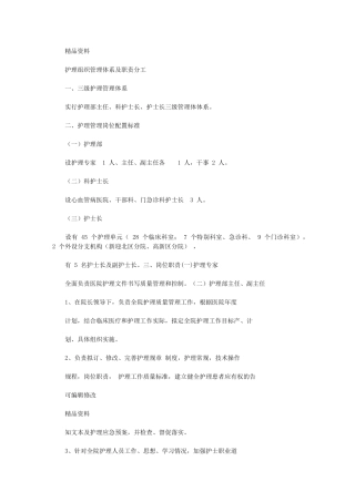 2024年护理组织管理体系与职责分工