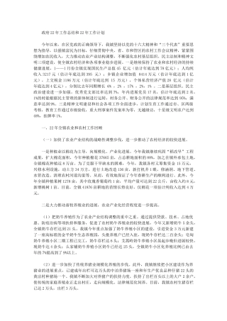 2024年政府工作总结和工作计划