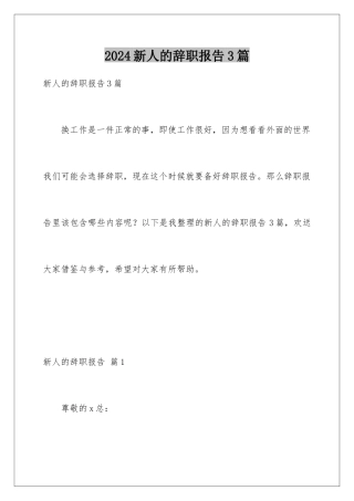 2024年新人的辞职报告3篇