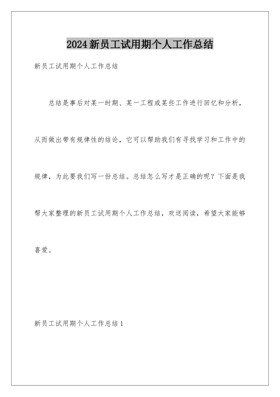 2024年新员工试用期个人工作总结_第1页