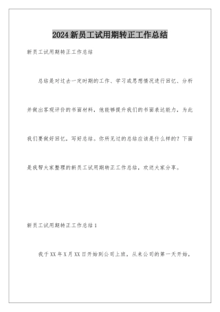2024年新员工试用期转正工作总结
