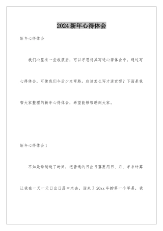2024年新年心得体会