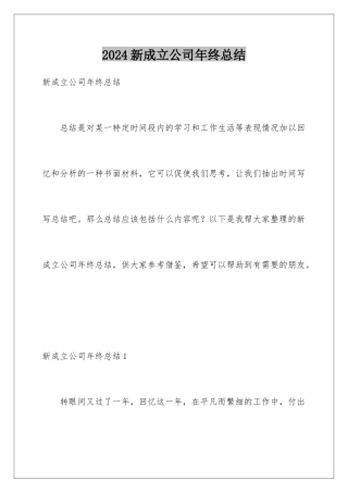 2024年新成立公司年终总结